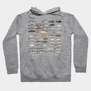 Southeast Asia Freshwater Fish Group Hoodie